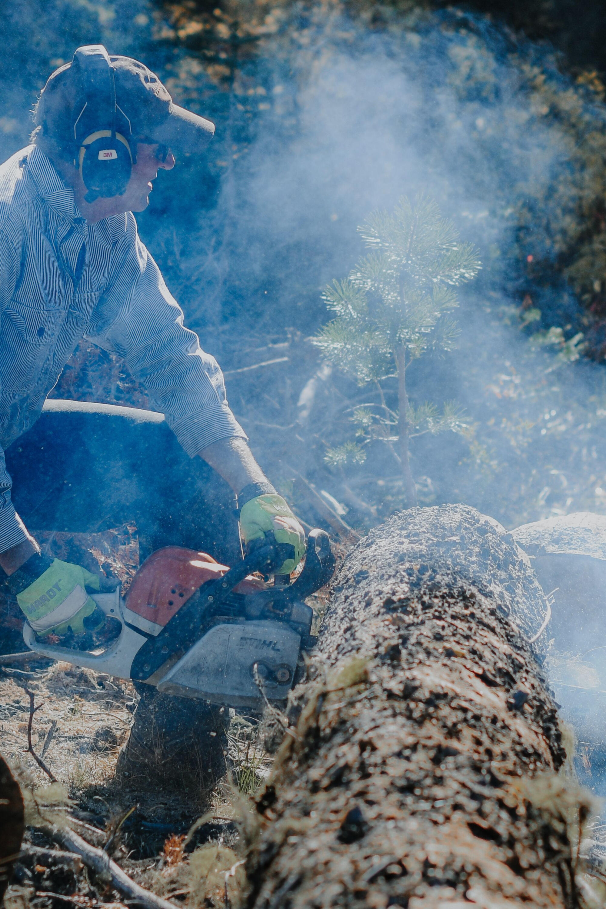 A trail worker wearing protective gear uses a chainsaw to cut a fallen log in a forest.