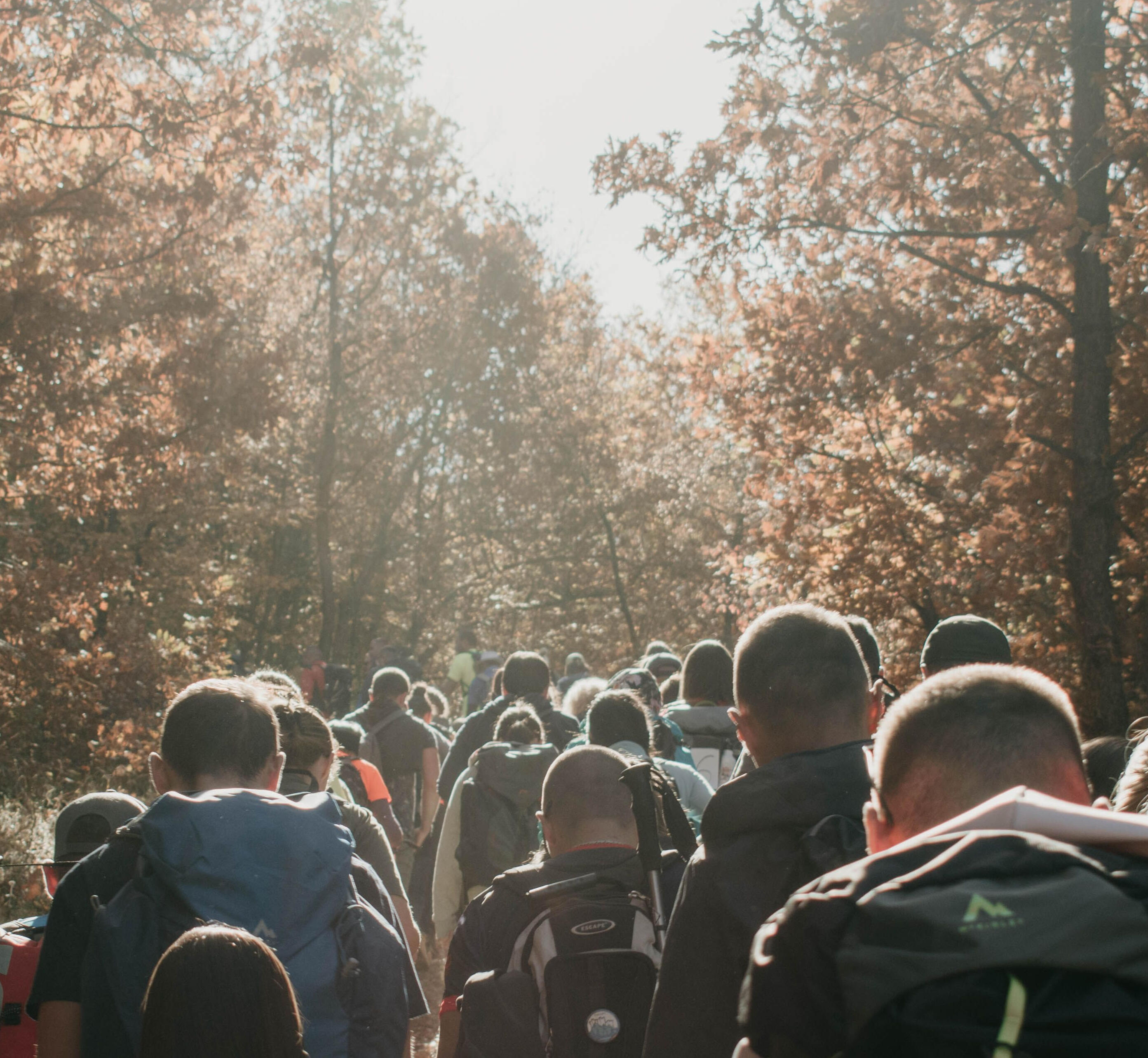 A large group wearing backpacks walks together along a wooded trail.