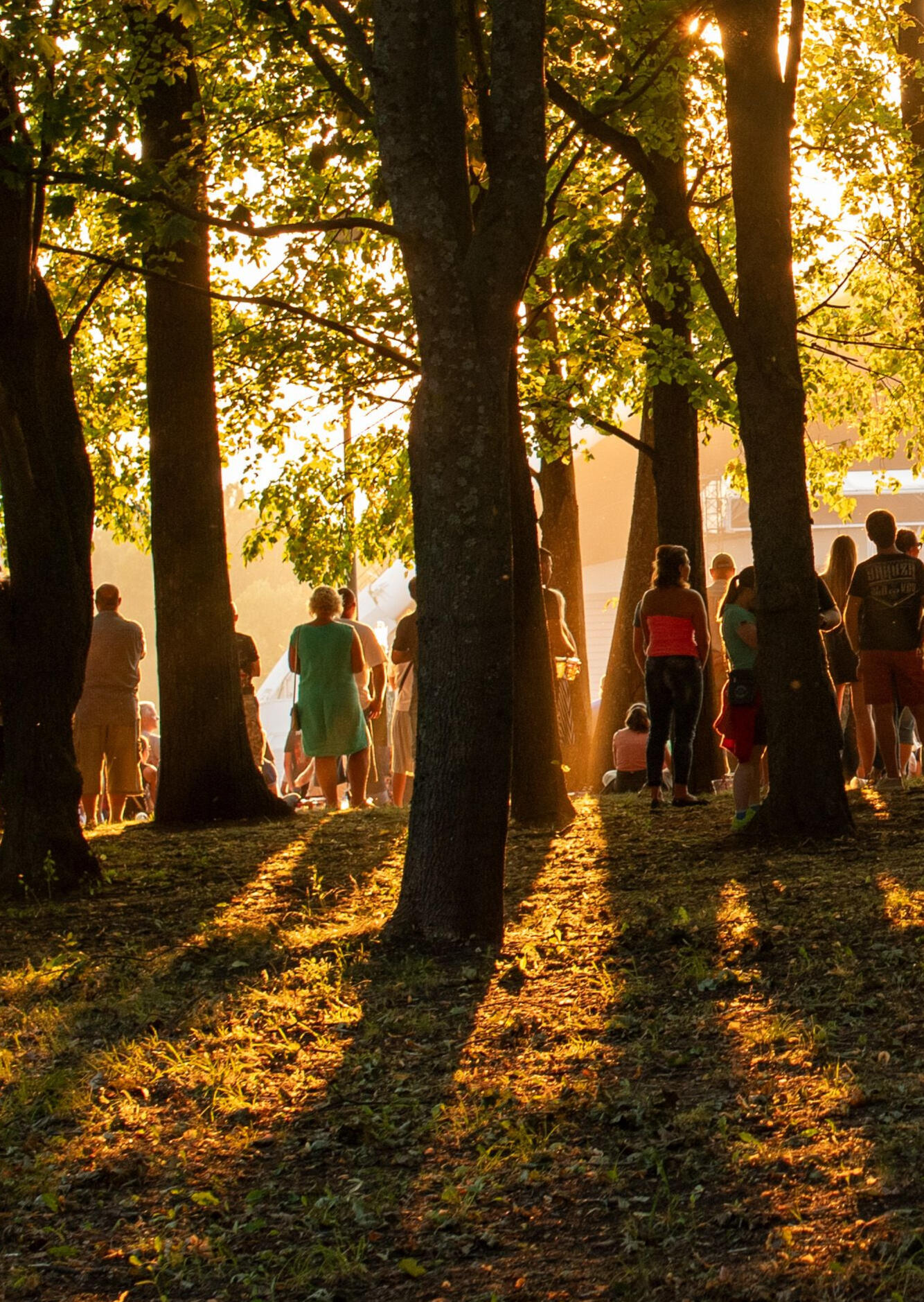 Morning Trail Gathering A large crowd gathers among trees in low morning light.